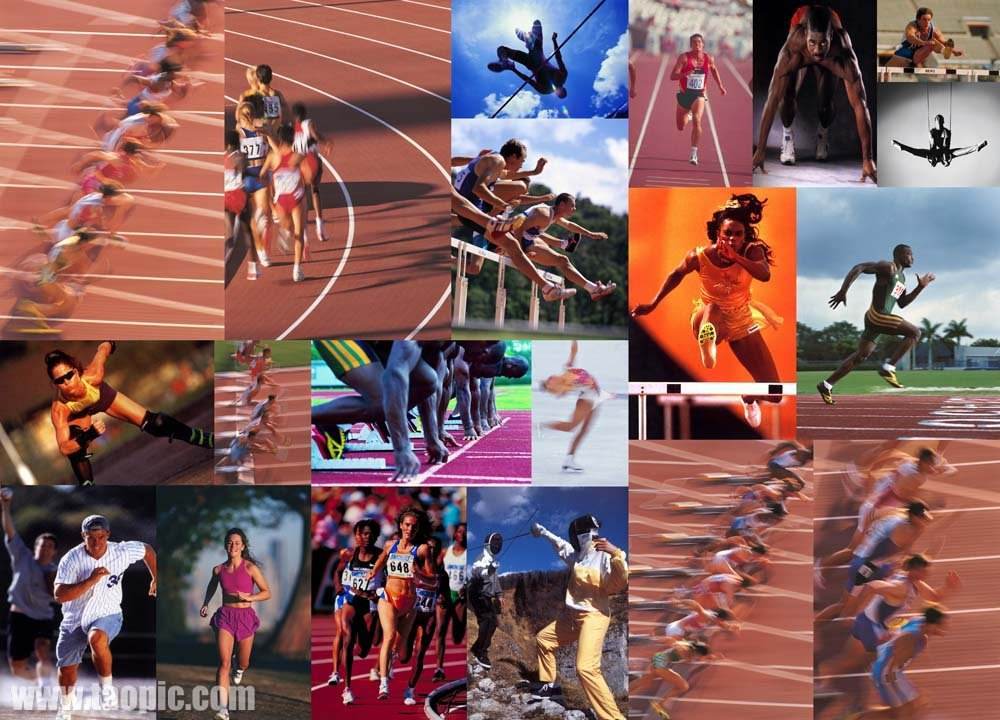 的计算与预 的计算与预