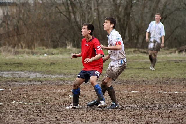 成为了众多 成为了众多