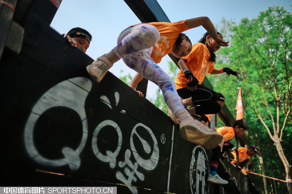 主导地位 主导地位