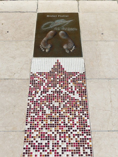 探討這一政 探討這一政