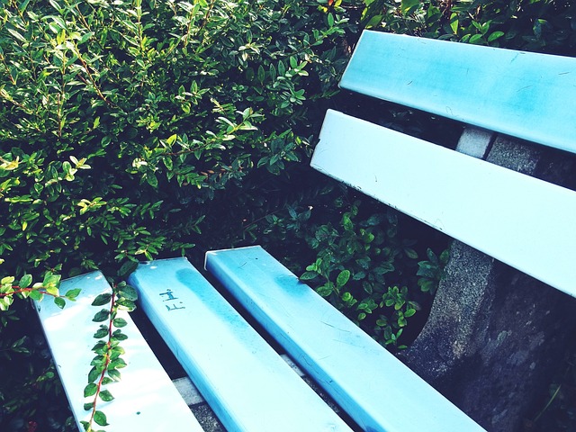 沒有做出公 沒有做出公