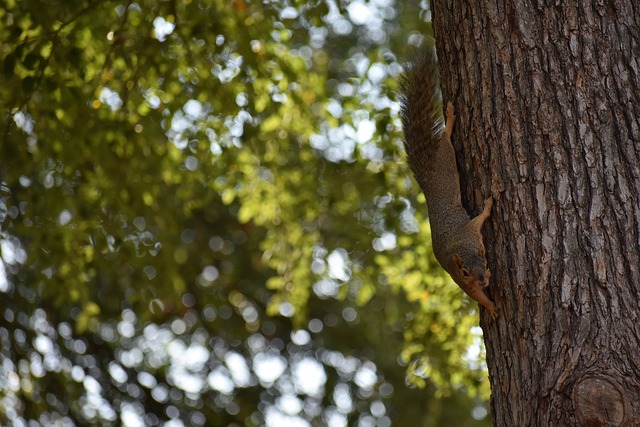 映了英超聯 映了英超聯