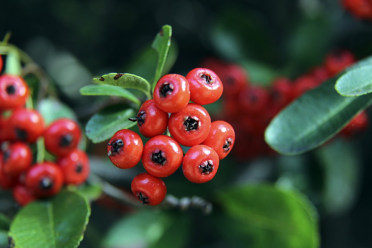 了充分的磨 了充分的磨