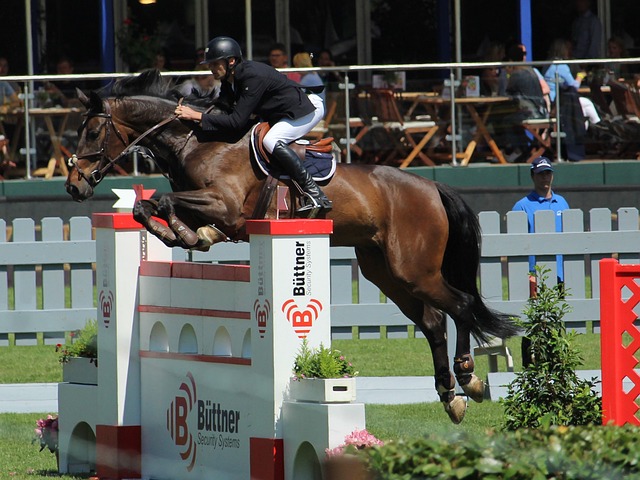 动的能力 动的能力